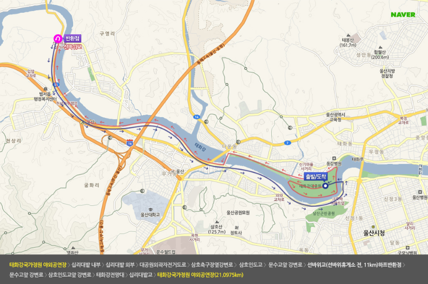 2025 태화강 국제마라톤 – 일정, 코스, 참가 방법 총정리 🏃♂️🌿