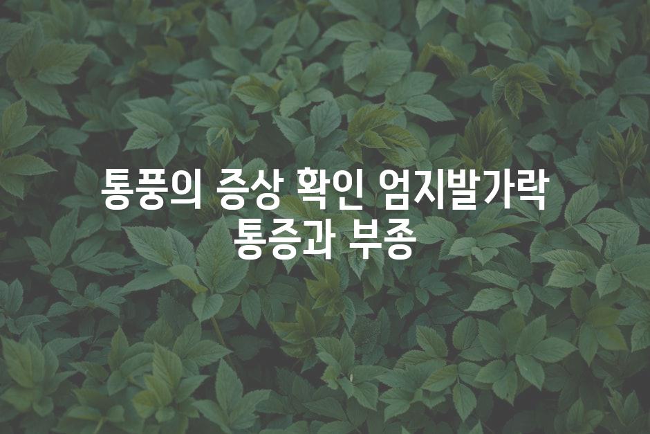 통풍의 증상 확인 엄지발가락 통증과 부종