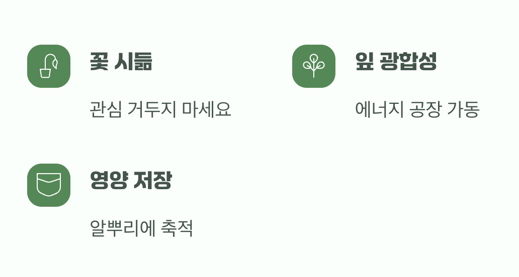 진짜 중요한 시간&amp;#44; 꽃이 지고 난 후