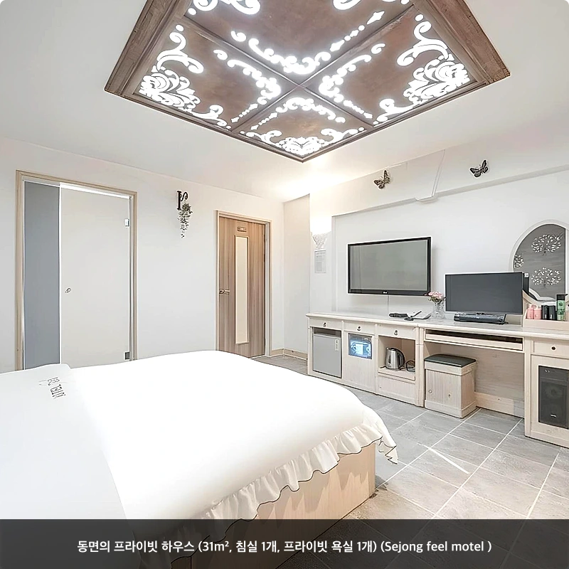 동면의 프라이빗 하우스 (31m², 침실 1개, 프라이빗 욕실 1개) (Sejong feel motel )_2
