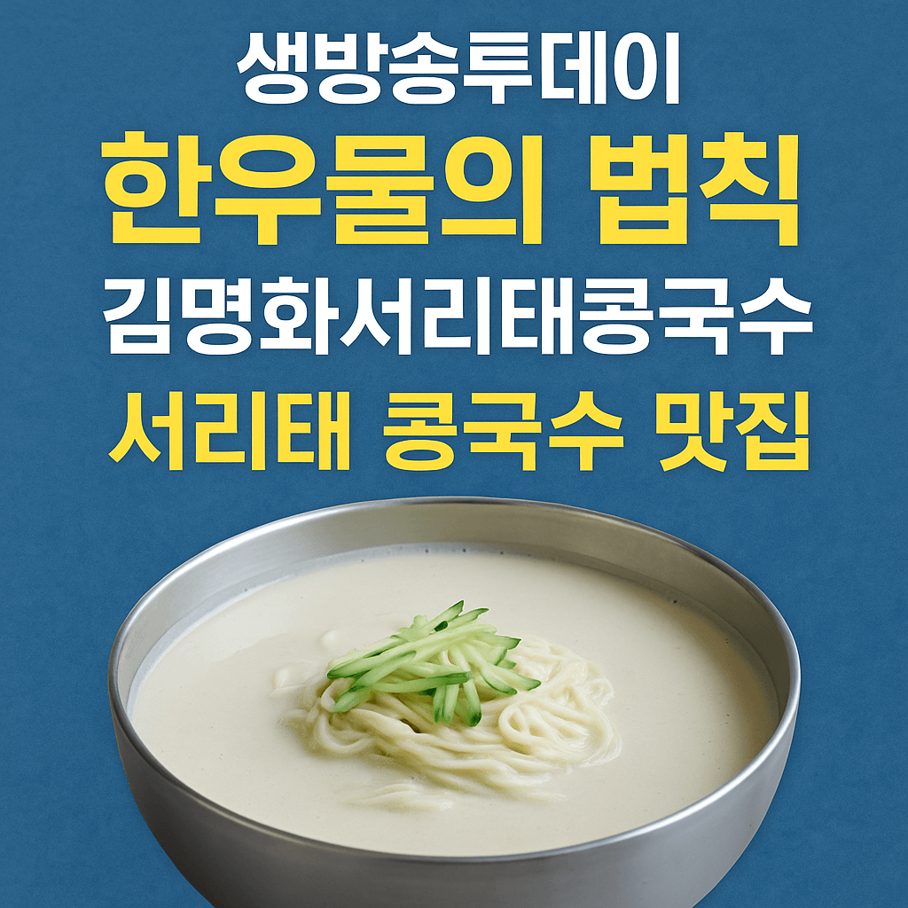 생방송투데이 3818회 한우물의 법칙 하루 1000그릇! 서리태 콩국수 편 광주 남구 구동 맛집 김명화서리태콩국수