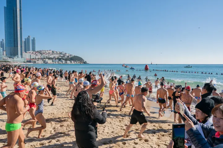 제37회 해운대북극곰 축제(출처: bear.busan.com)