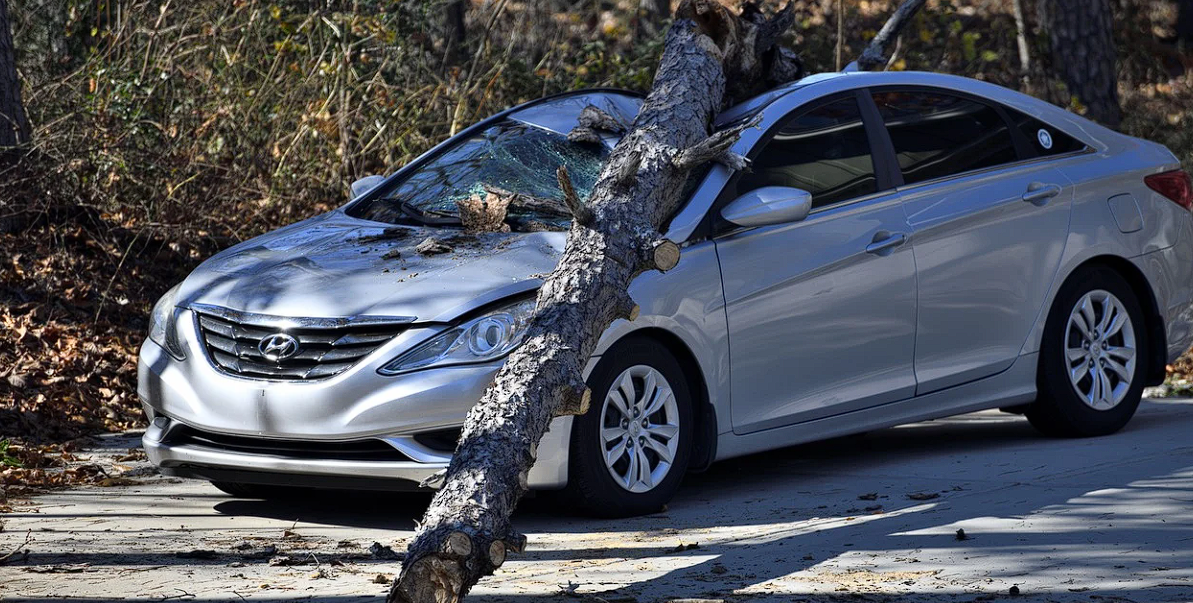 교통사고 합의금