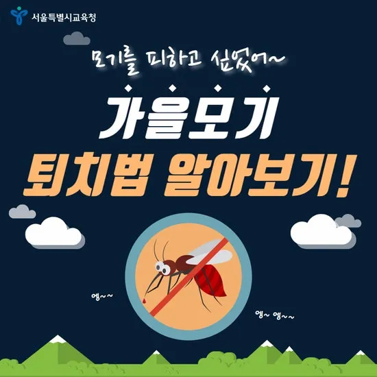 모기 박사님 추천 모기 퇴치법과 여름철 모기 없는 집 만들기 실전 전략_8