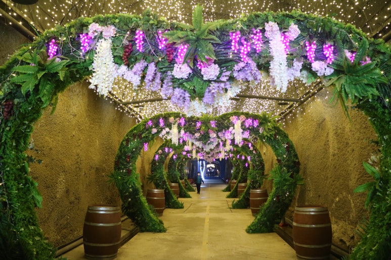 무주 머루와인동굴