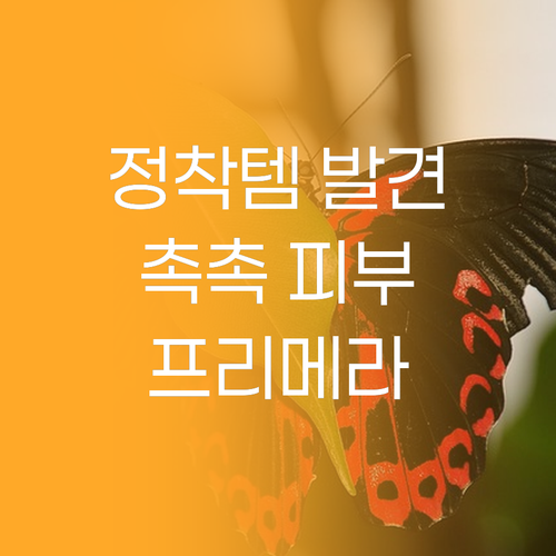 정착템 발견! 프리메라 오가니언스 에