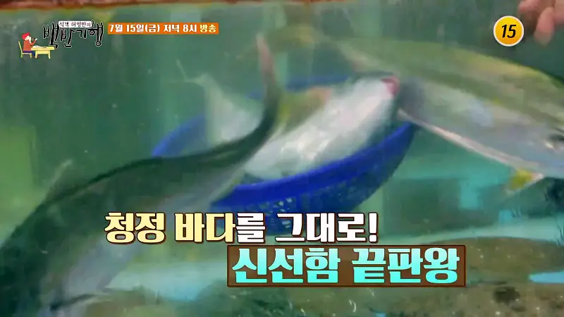 식객 허영만 백반기행 160회 김지민 편 제철 부시리, 쫀득 광어 물회, 반건조 불볼락 구이, 자연산 미역무침 반찬 동해 삼척 7번국도 노포 맛집 소개