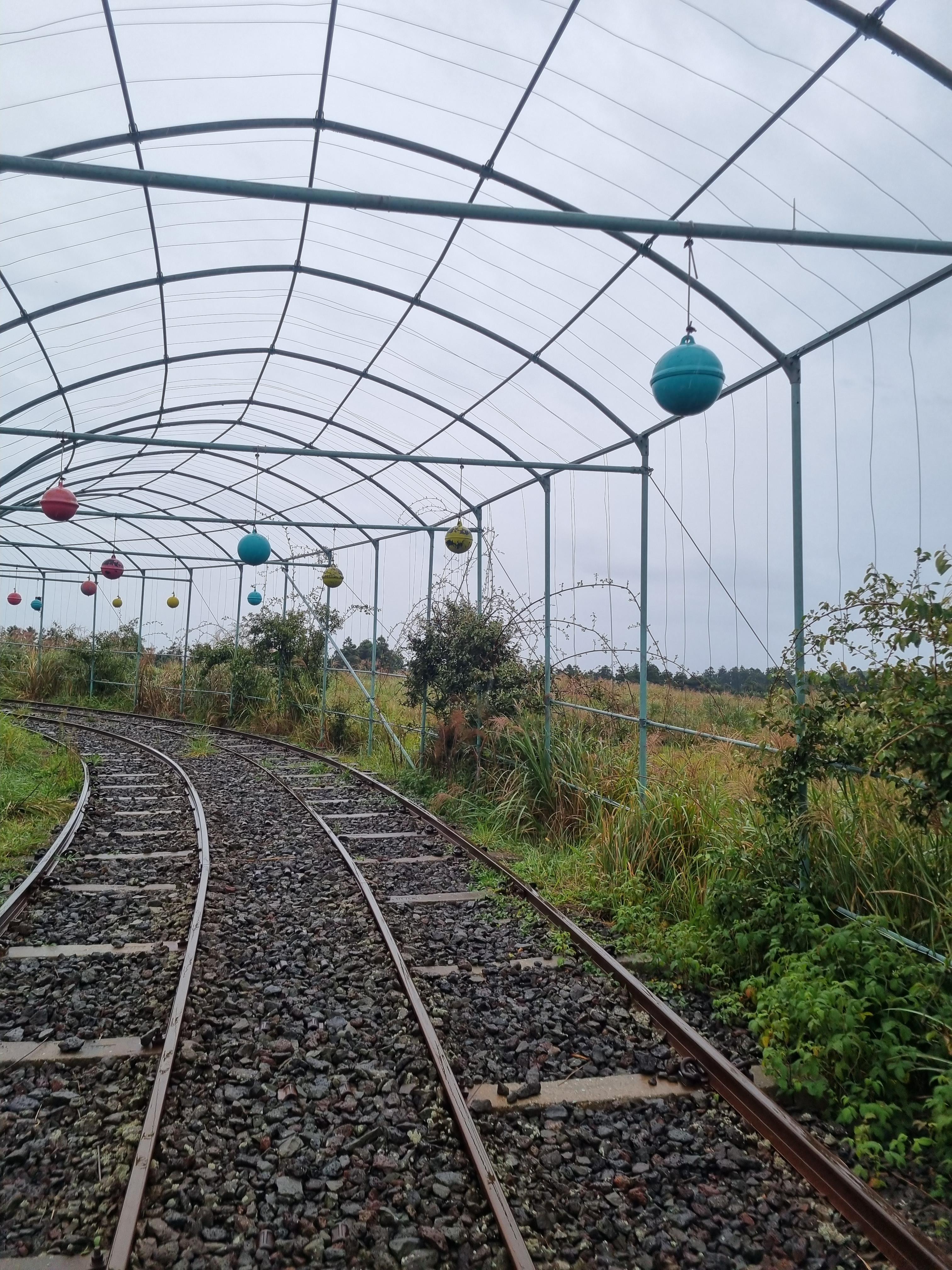 제주레일바이크