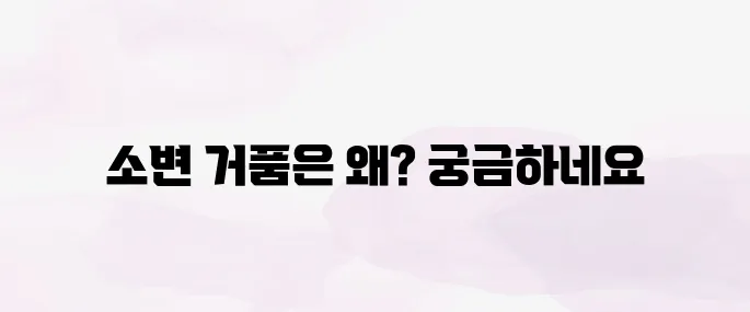 소변에 거품 생기는 이유는? 단백뇨 포함 주요 원인 총정리