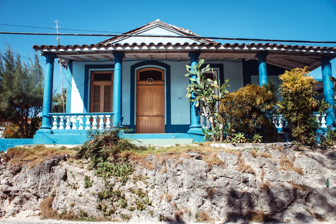 Blue House