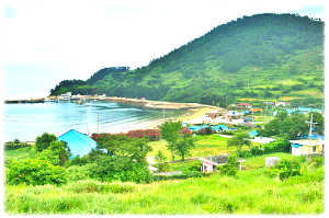 손죽도