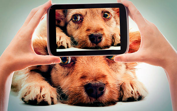 해시태그 & 태그 활용법