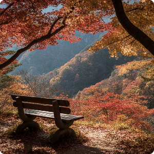 2025년 단풍 절정 시기&middot;명소 이미지