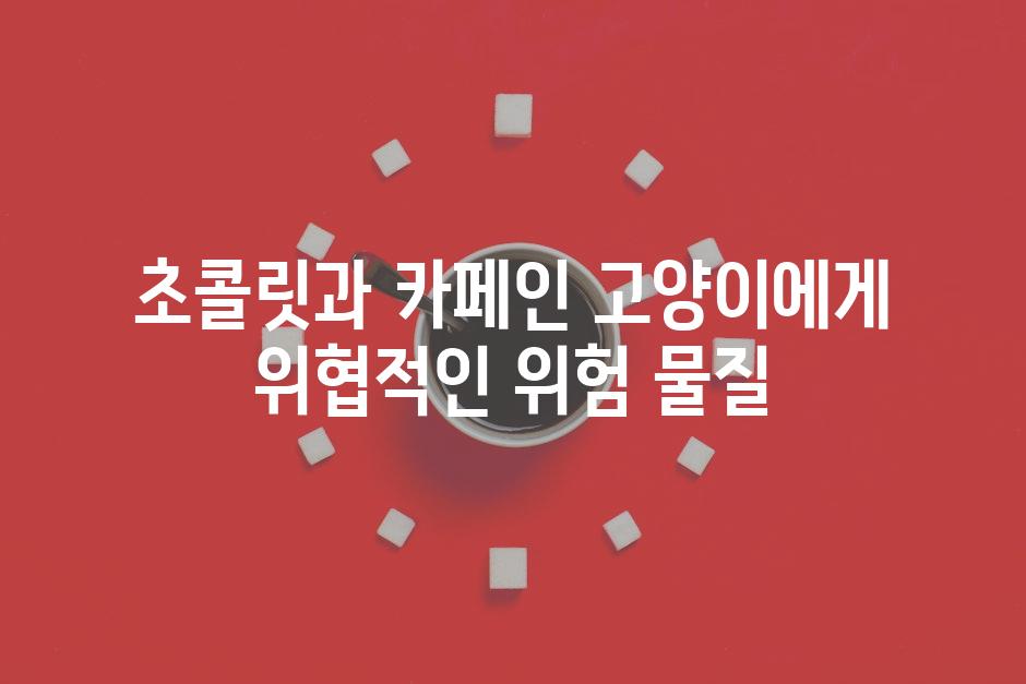 초콜릿과 카페인 고양이에게 위협적인 위험 물질