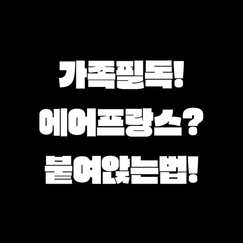 가족 여행 필독, 에어프랑스 좌석 붙..