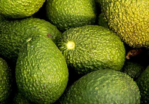 아보카도 오일 먹는 방법