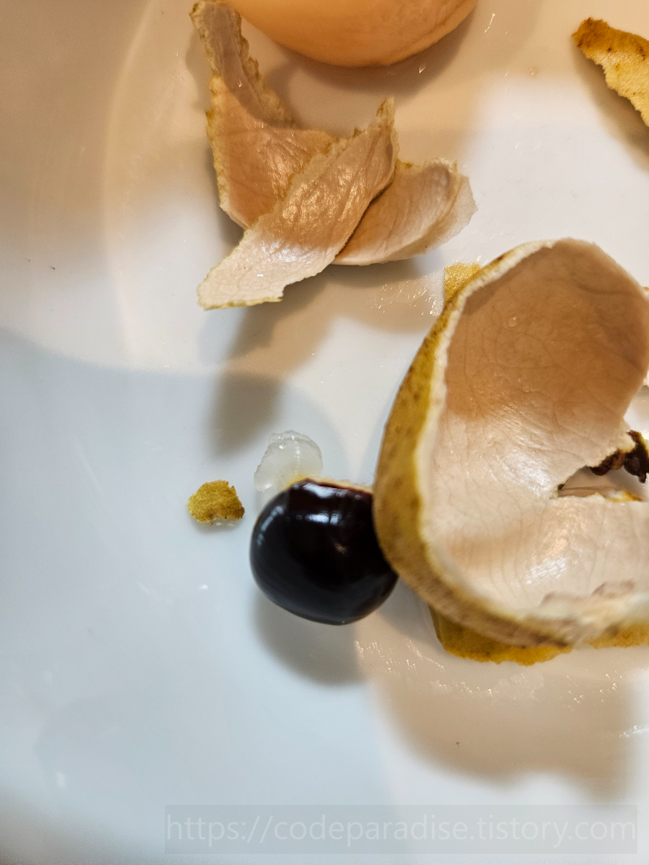 ํธํ
์ฌ์ง