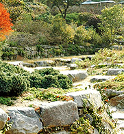 전국 수목원 BEST 5 – 자연의 품으로 떠나는 진짜 힐링 여행