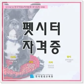 펫시터 자격 취득요건 교육기관 업무범위 수입전망_25