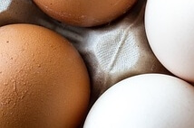 40대 여성 필수 영양제