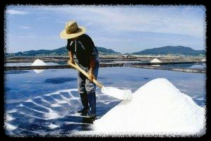 소금&amp;#44; 인류 역사의 최강 만능템 &ndash; 몰랐던 활용법 총정리