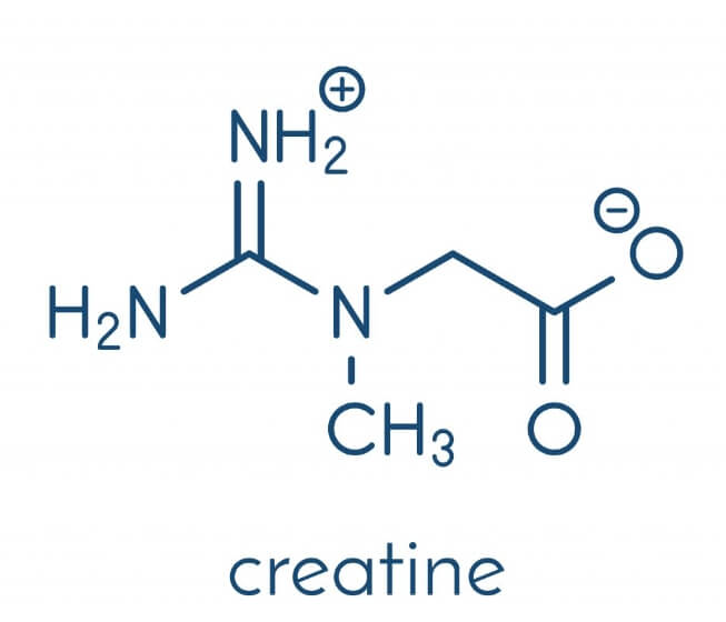 크레아틴