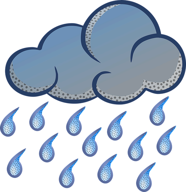 장마의 변덕스러운 날씨