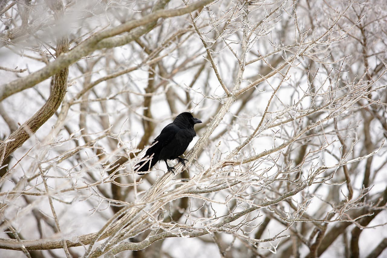 겨울 눈꽃산행 명소 유의사항