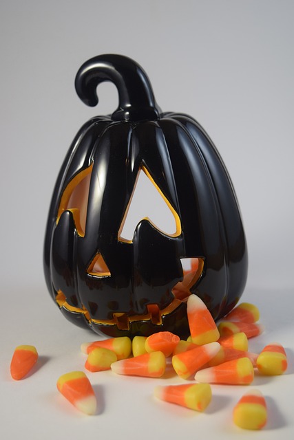 캠핑장 할로윈 이벤트