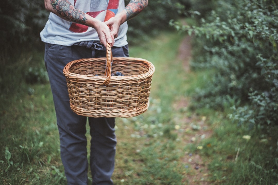 Basket