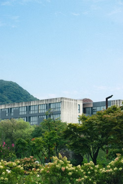 학교사진