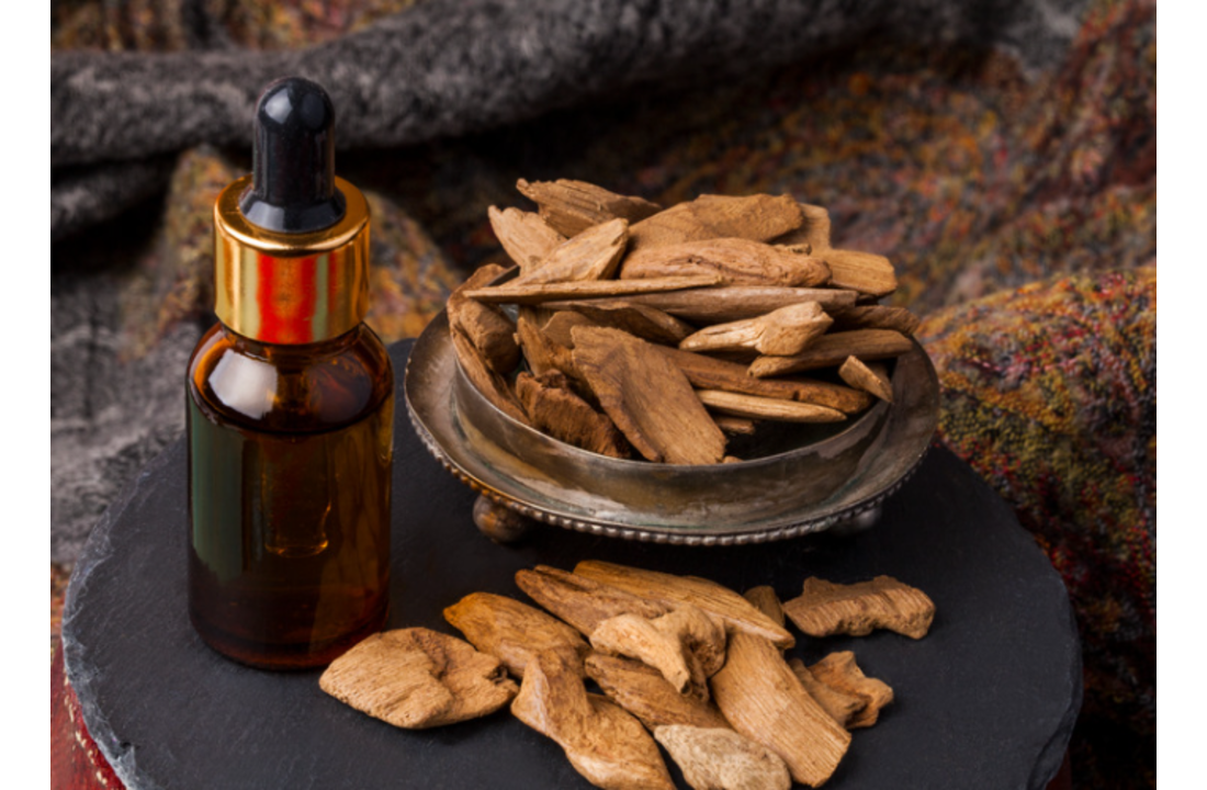 침향환 효능 10가지