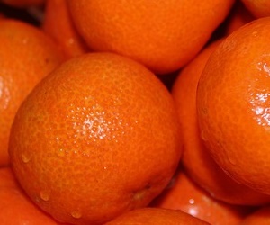 귤효능 면역력에 도움