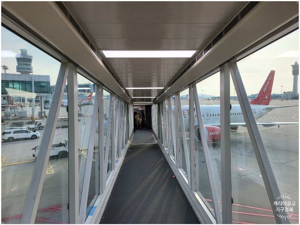 이스타항공 비행기