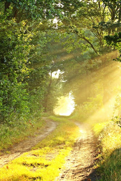 폭염 종합 대책 수립 현황 총정리 (2025 최신 가이드)