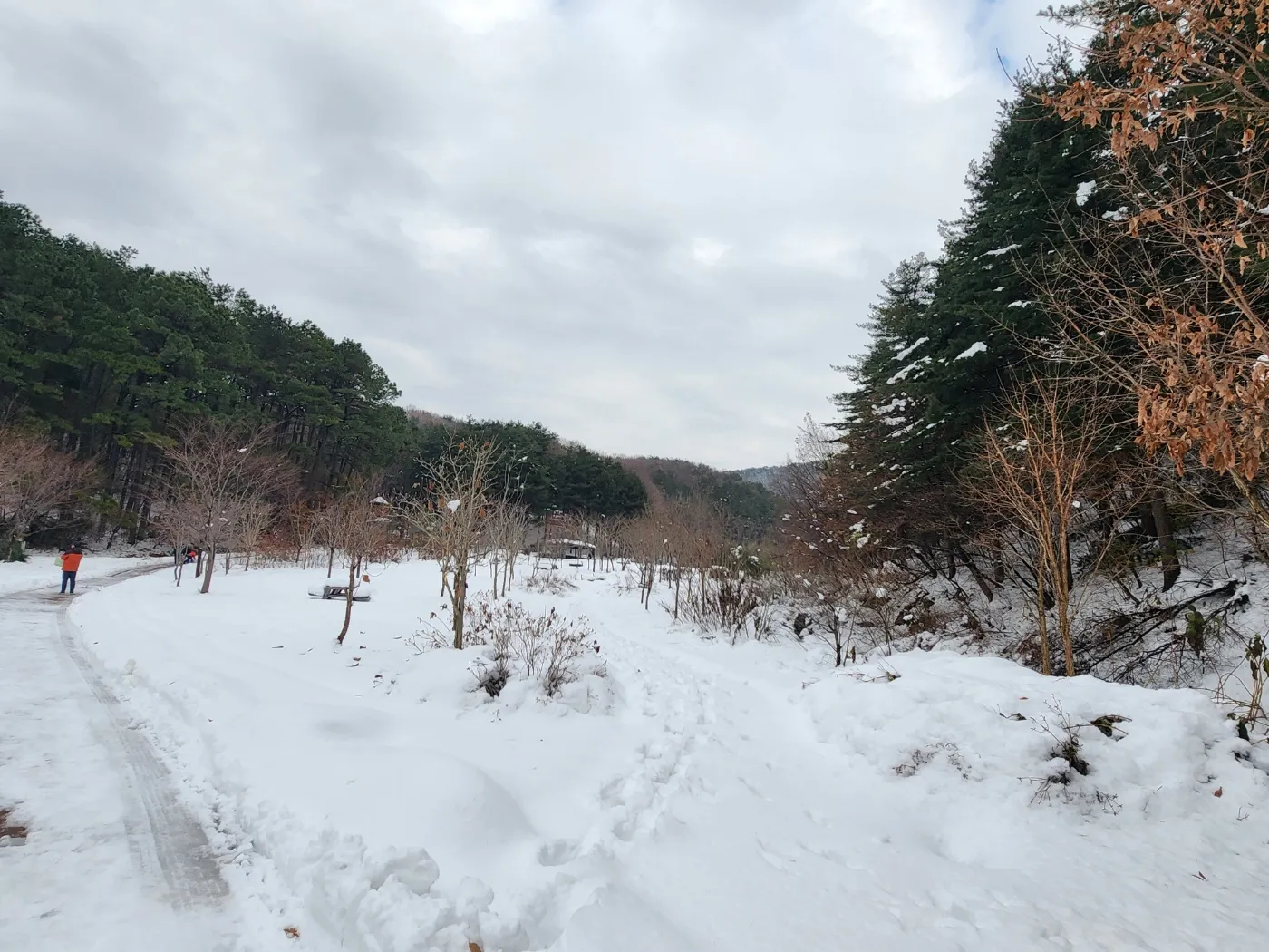 수리산-매쟁이골-숲속놀이터-가는길