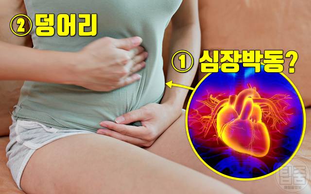 배에서 심장박동 복부대동맥류 증상 복부대동맥류 자가진단