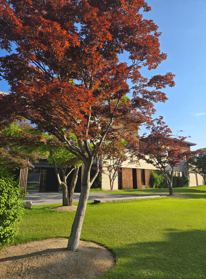 밖에서 바라본 클럽하우스