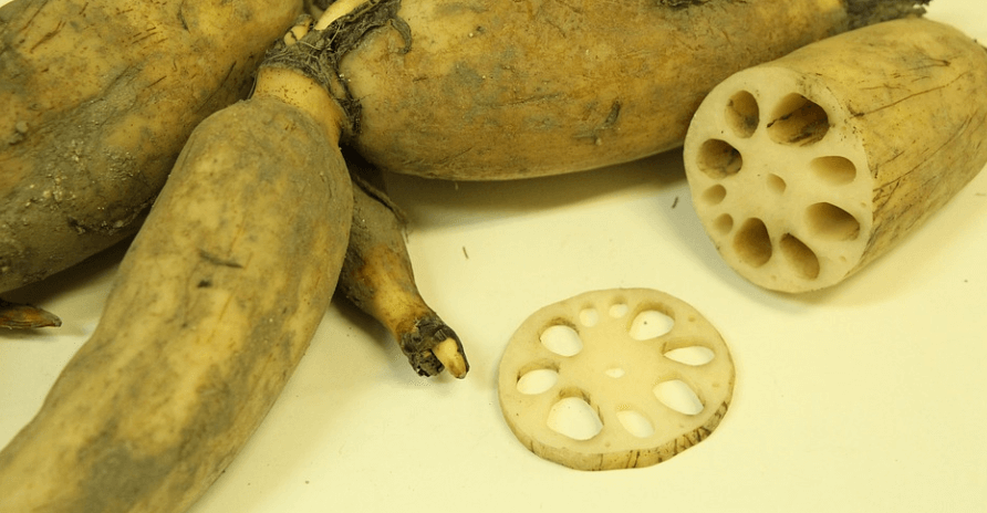 여러개의 연근이 놓여 있다