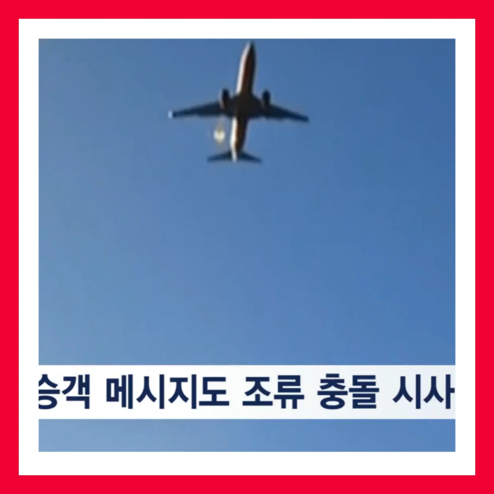 제주항공-엔진-깃털-조류충돌