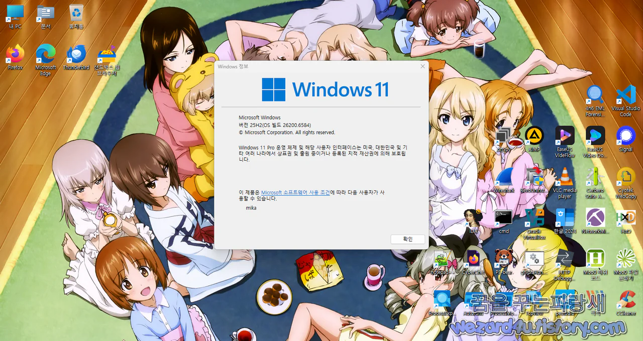 windows 11 25H2