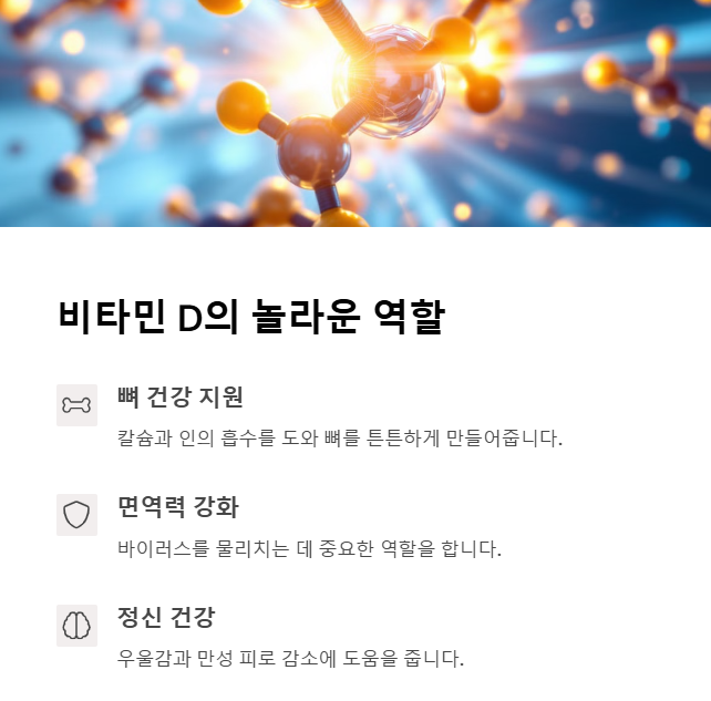 비타민 D의 역할은 뭘까?