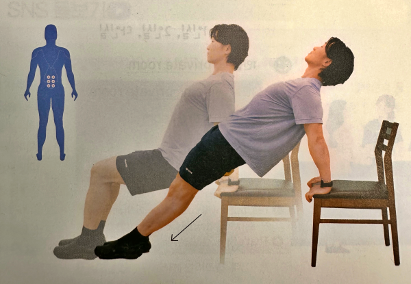 리버스 의자 플랭크(Reverse Plank on Chair )
