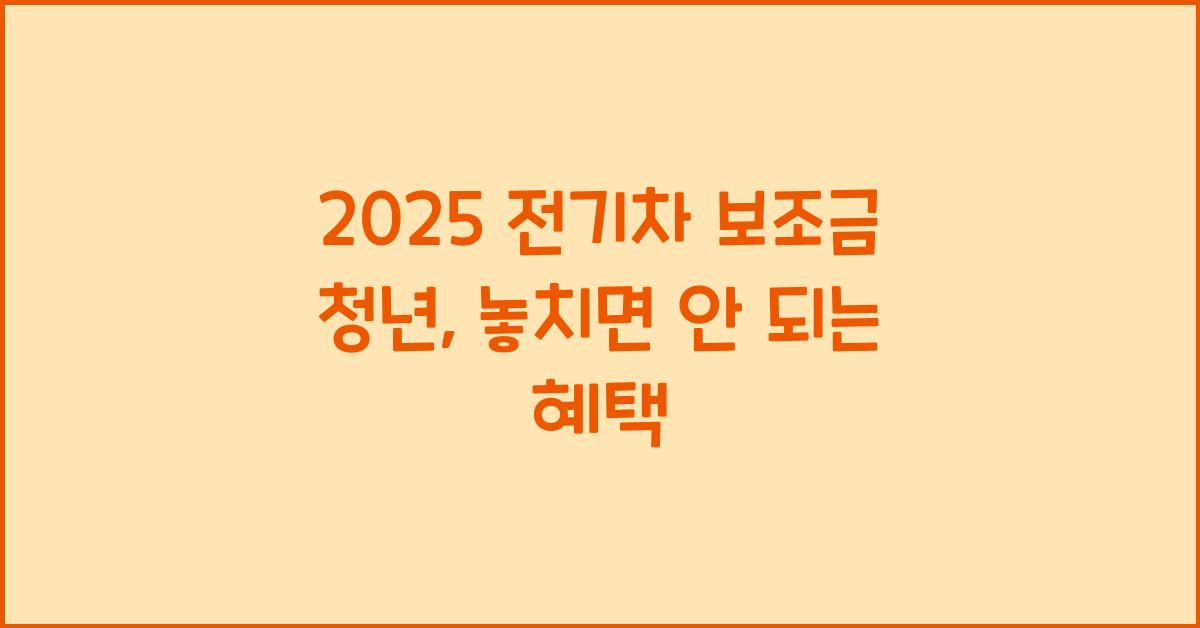 2025 전기차 보조금 청년