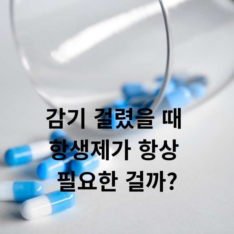 항생제와 소염제 차이 완벽 정리