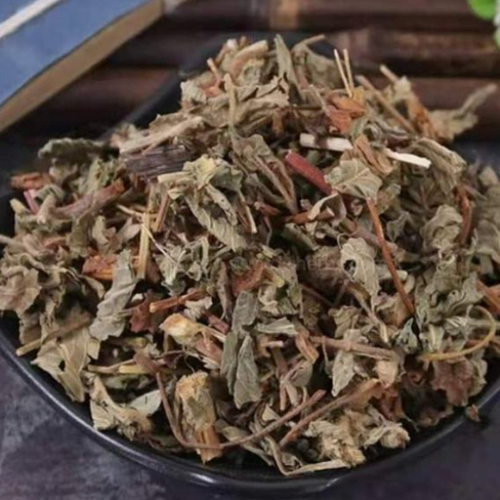 건조한 선착초 (짚신나물)