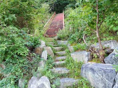 용인 가볼만한곳 이미지 입니다.