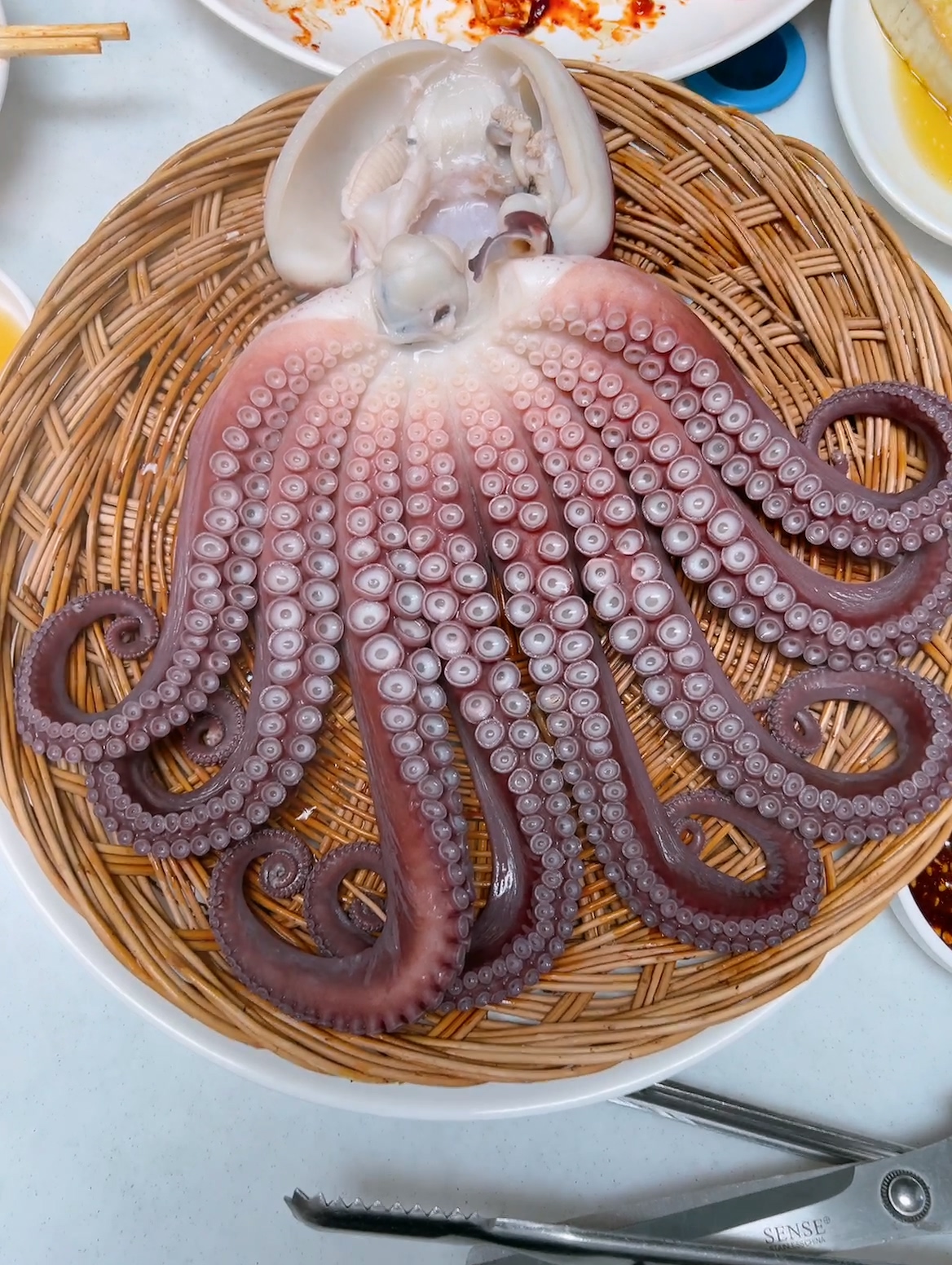 삼척 쏠비치리조트 근처 맛집