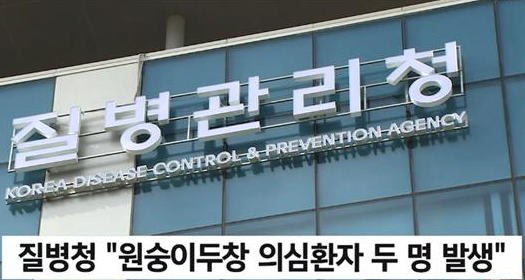 국내원숭이두창