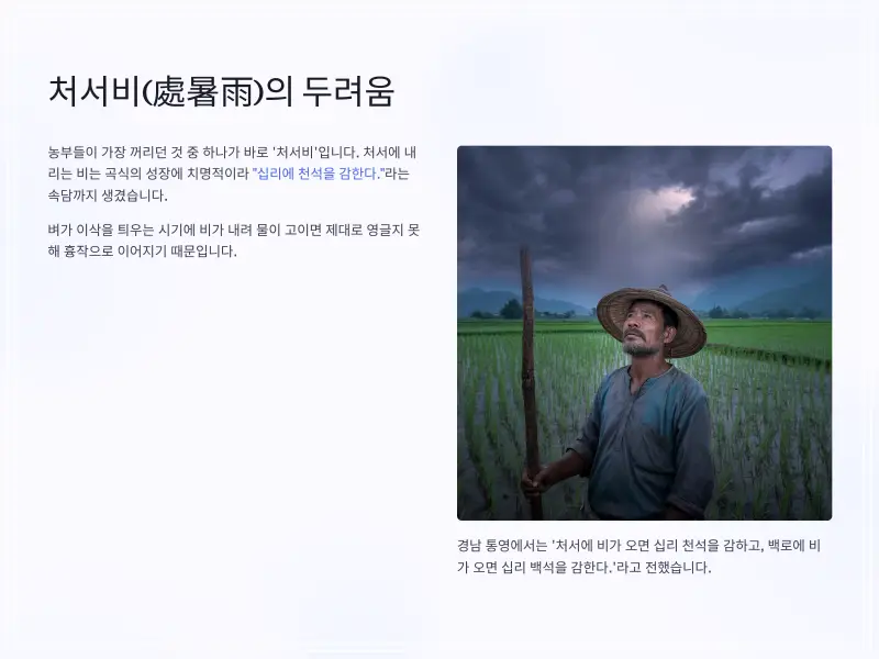 24절기-처서-8_